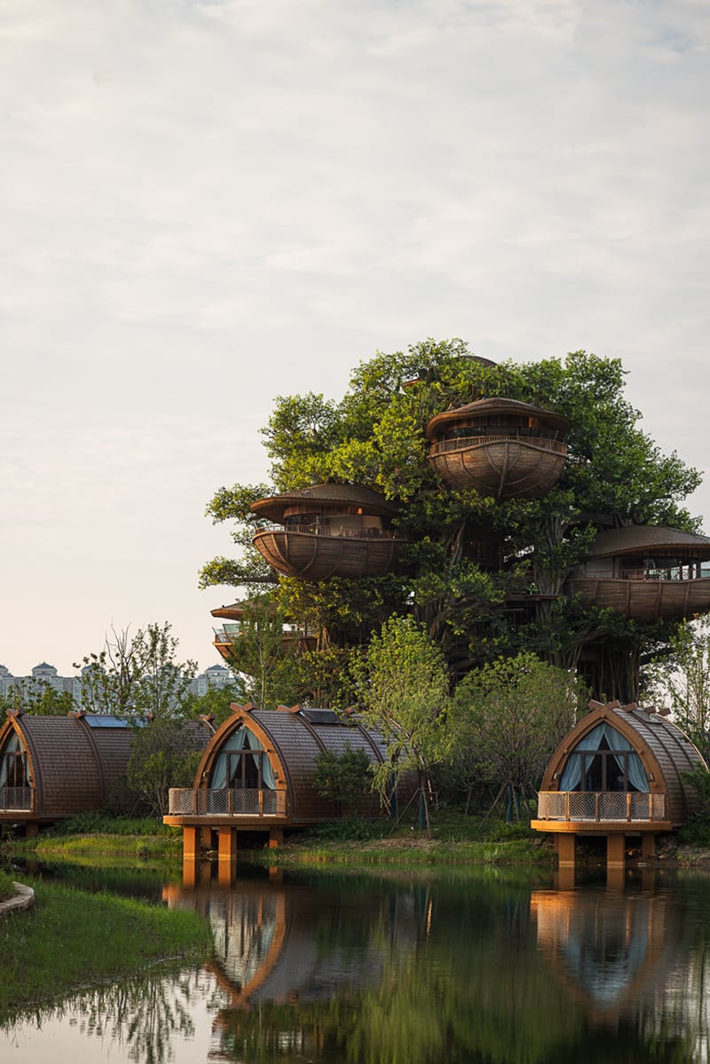 国际认可！武汉城建开元森泊度假乐园斩获2025伦敦设计奖铂金奖